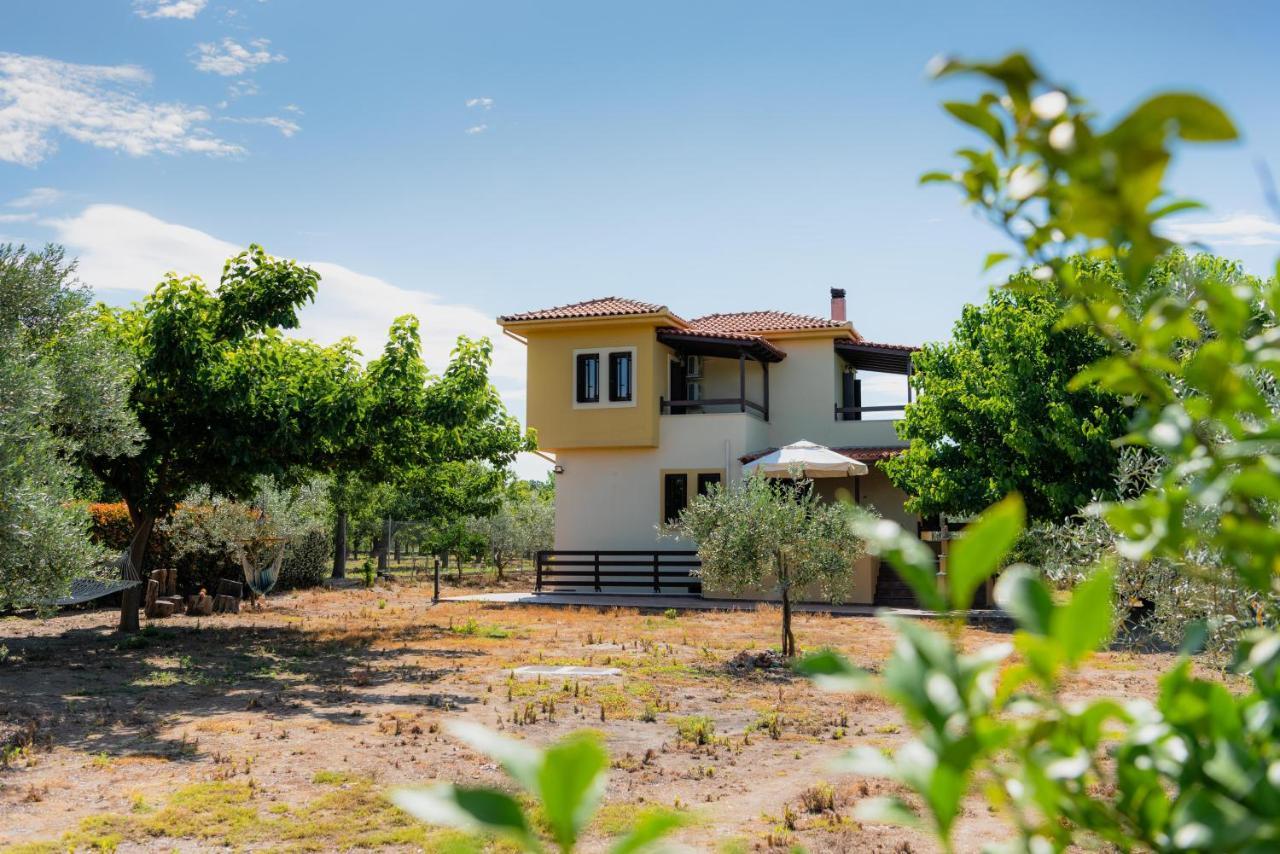Karavos Grove Villa Kato Lekhonia Exterior photo